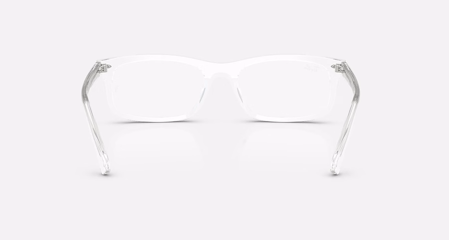 RB5450 OPTIEK